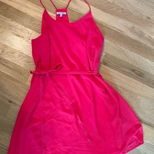 Naked Zebra Dress - Lightly Worn